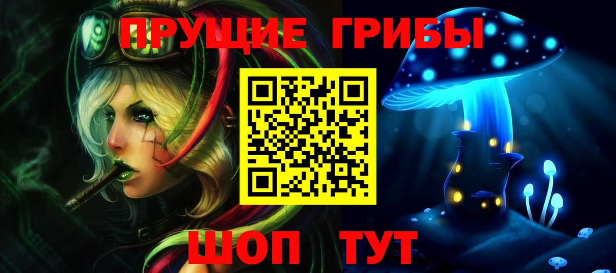 Псилоцибиновые грибы Cubensis Бутурлиновка