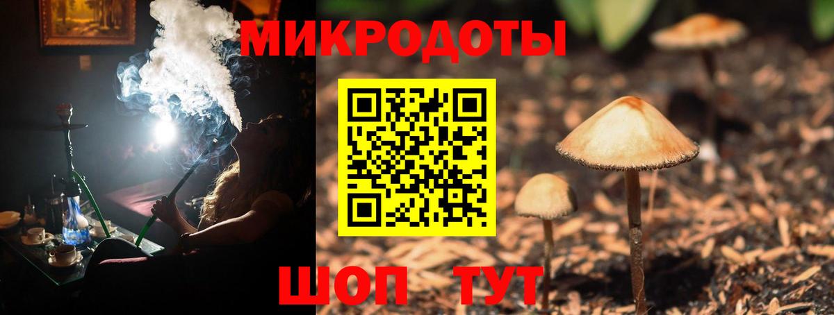 Бутурлиновка  Псилоцибиновые грибы Psilocybine cubensis  Вход с VPN 